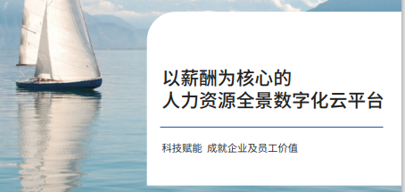 2022人力资源全景数字化手册