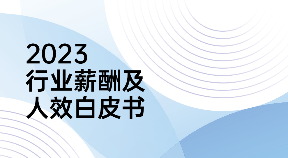 2023年行业薪酬及人效白皮书