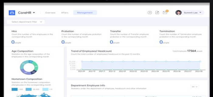 海外用工合规挑战：如何构建高效的海外人力资源管理体系？